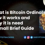 Bitcoin ordinal guide