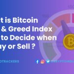 What is Bitcoin Fear and Greed Index